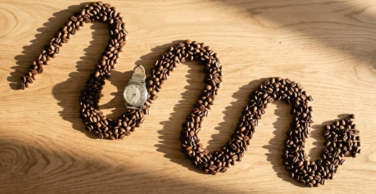 Timeline visualization showing cortisol and adenosine levels throughout morning hours